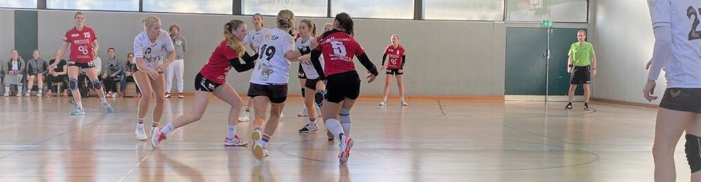 HSG Bergedorf-VM
